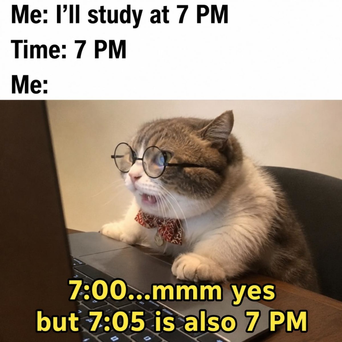 #memes