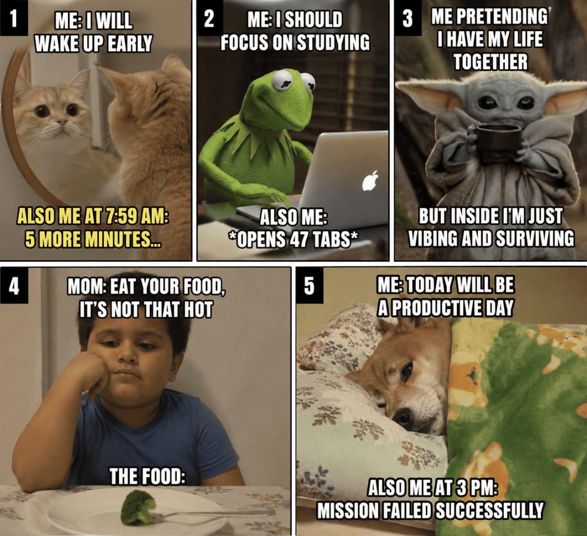 POV: 5 memes in one image 🔥