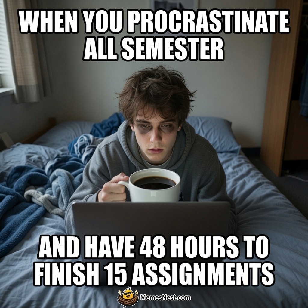 Meme on MemeNest