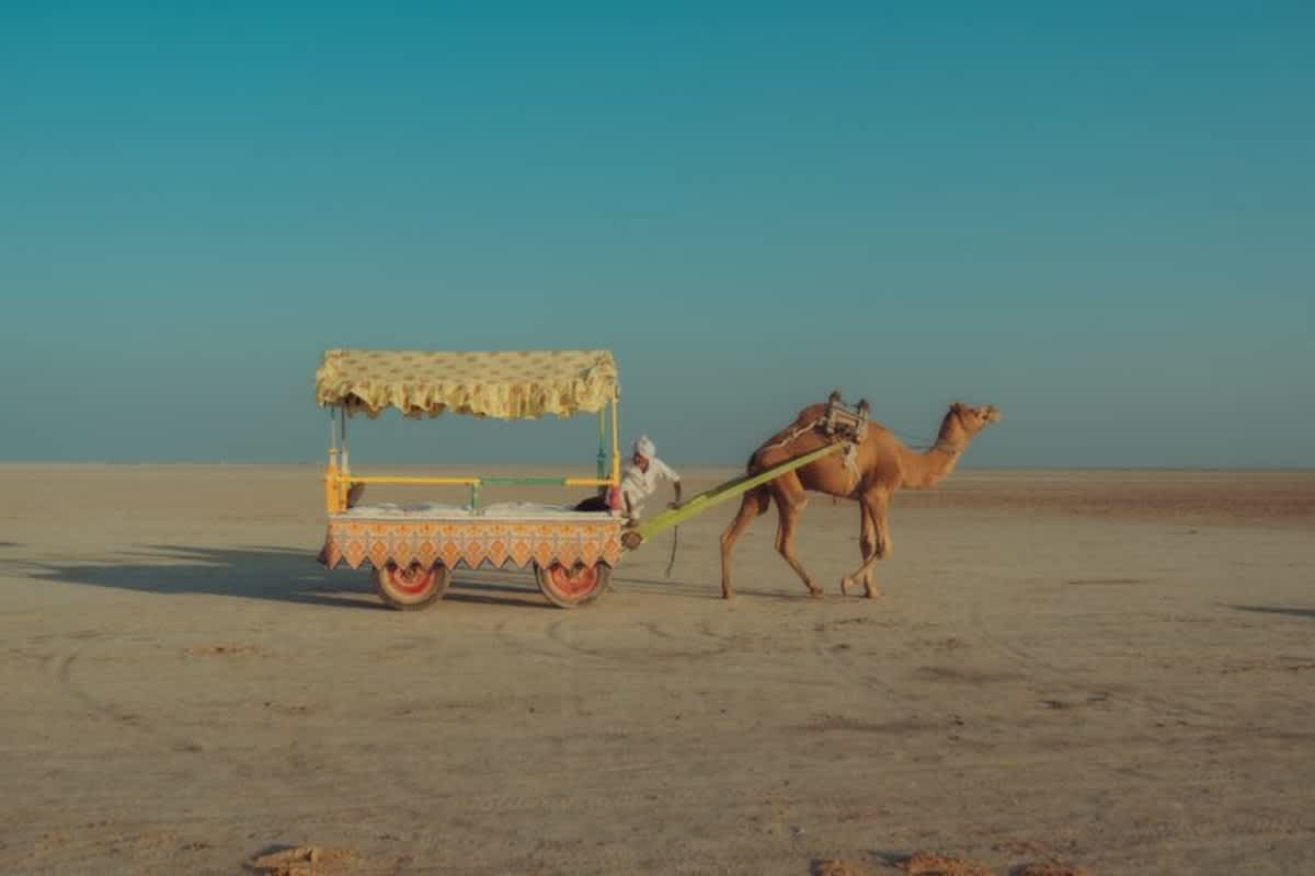 Rann of Kutch Full Moon Festival — 3N/4D White Desert Experience from Ahmedabad