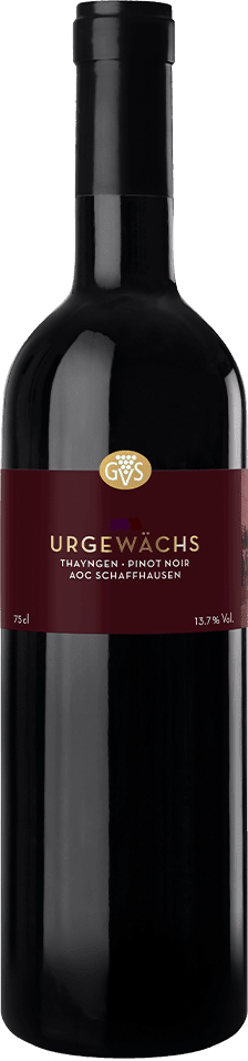 Urgewächs Thayngen