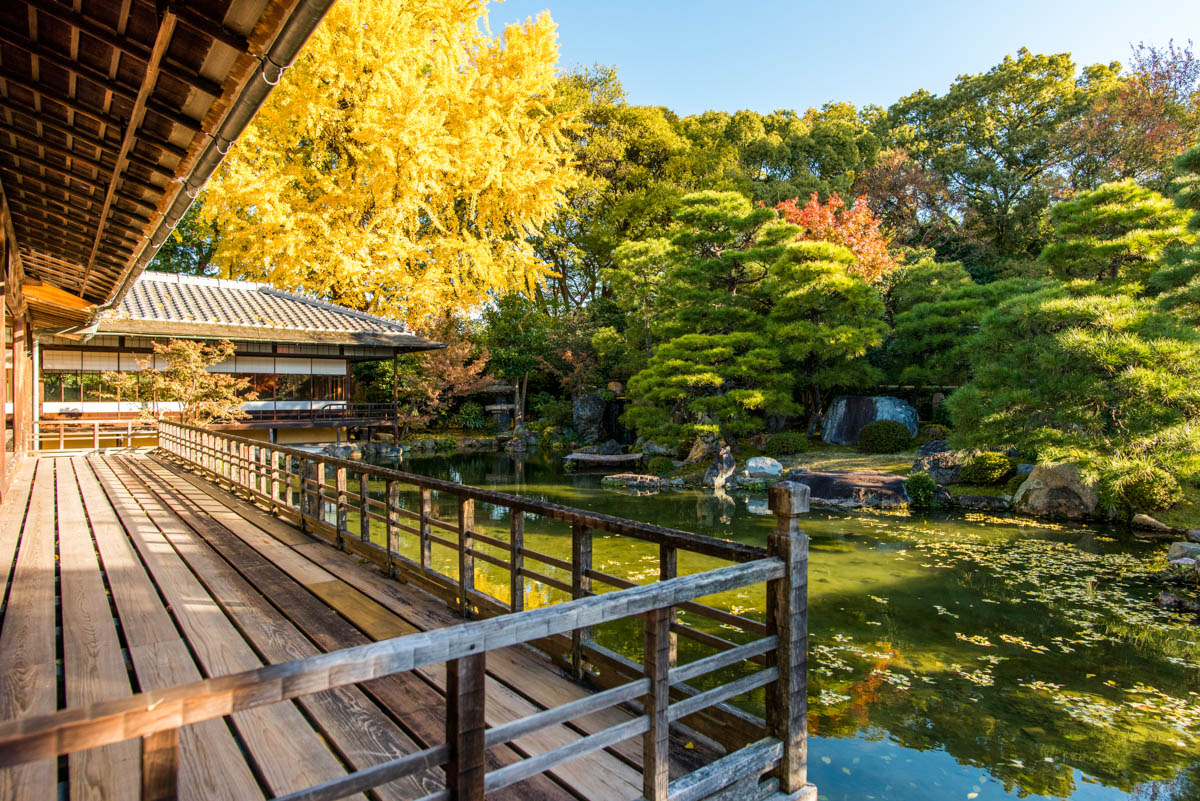 Shoseien Garden pond and pavilion