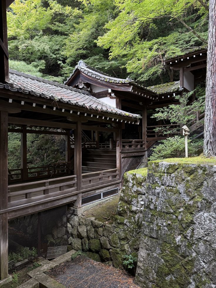 Eikando Temple autumn foliage