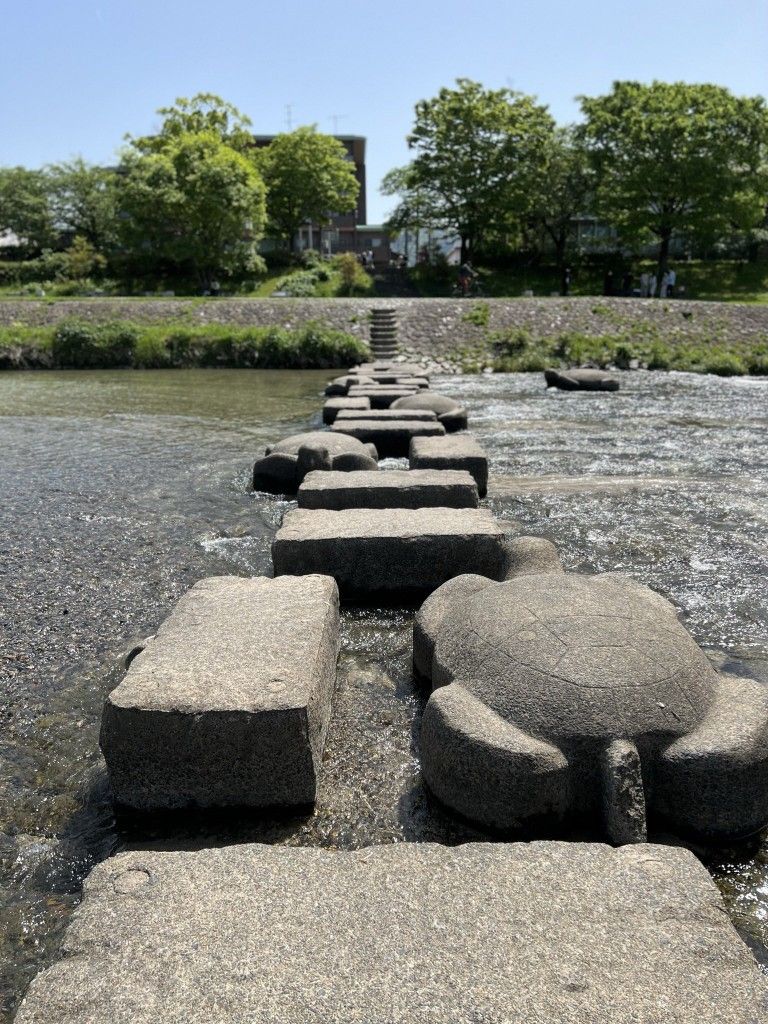 Stepping stones across river