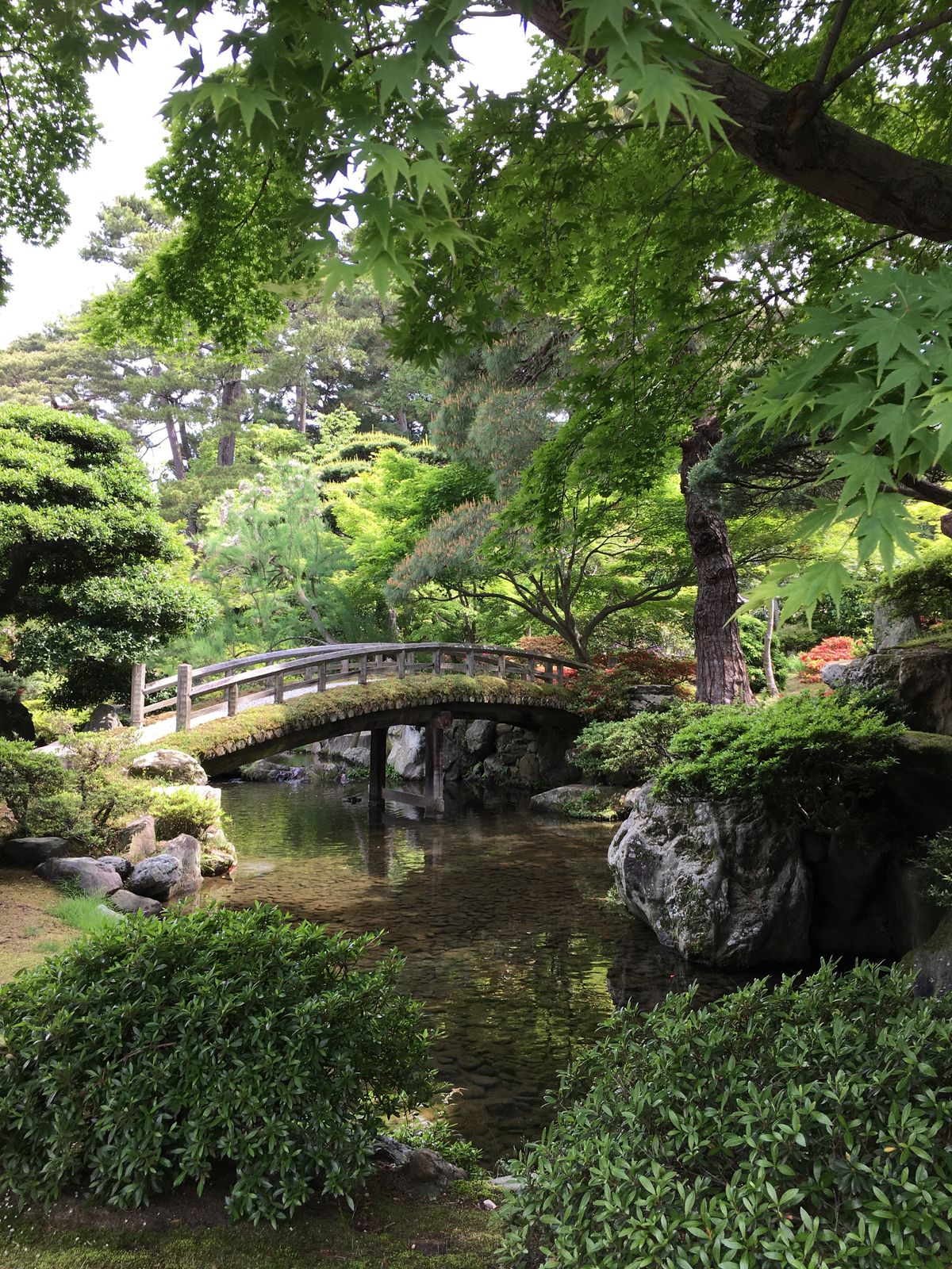 Kyoto Gyoen garden path