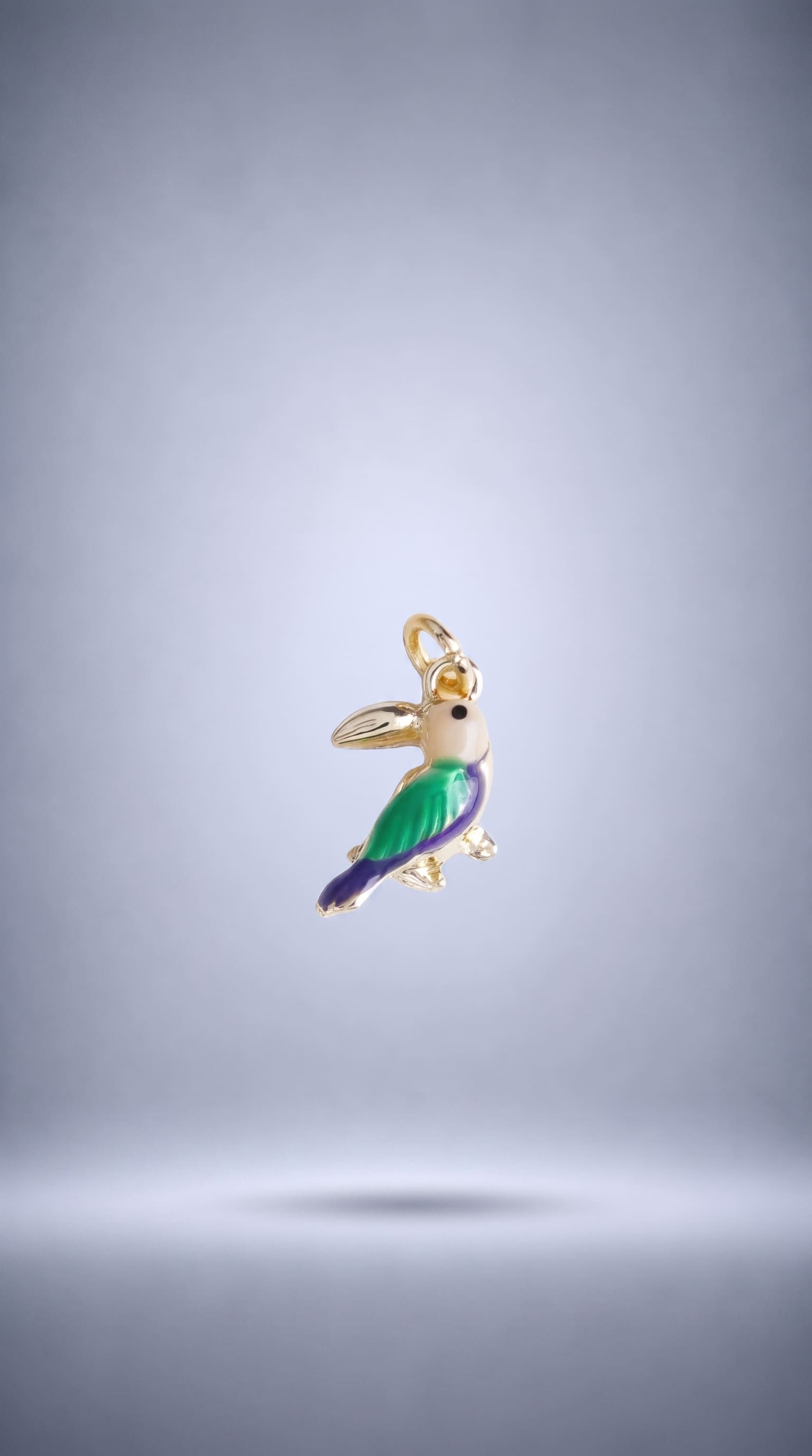 Tukan Kuşu Charm