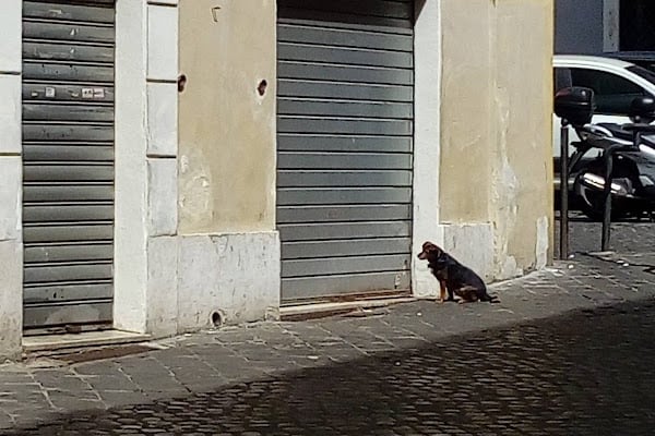 Forno del Ghetto