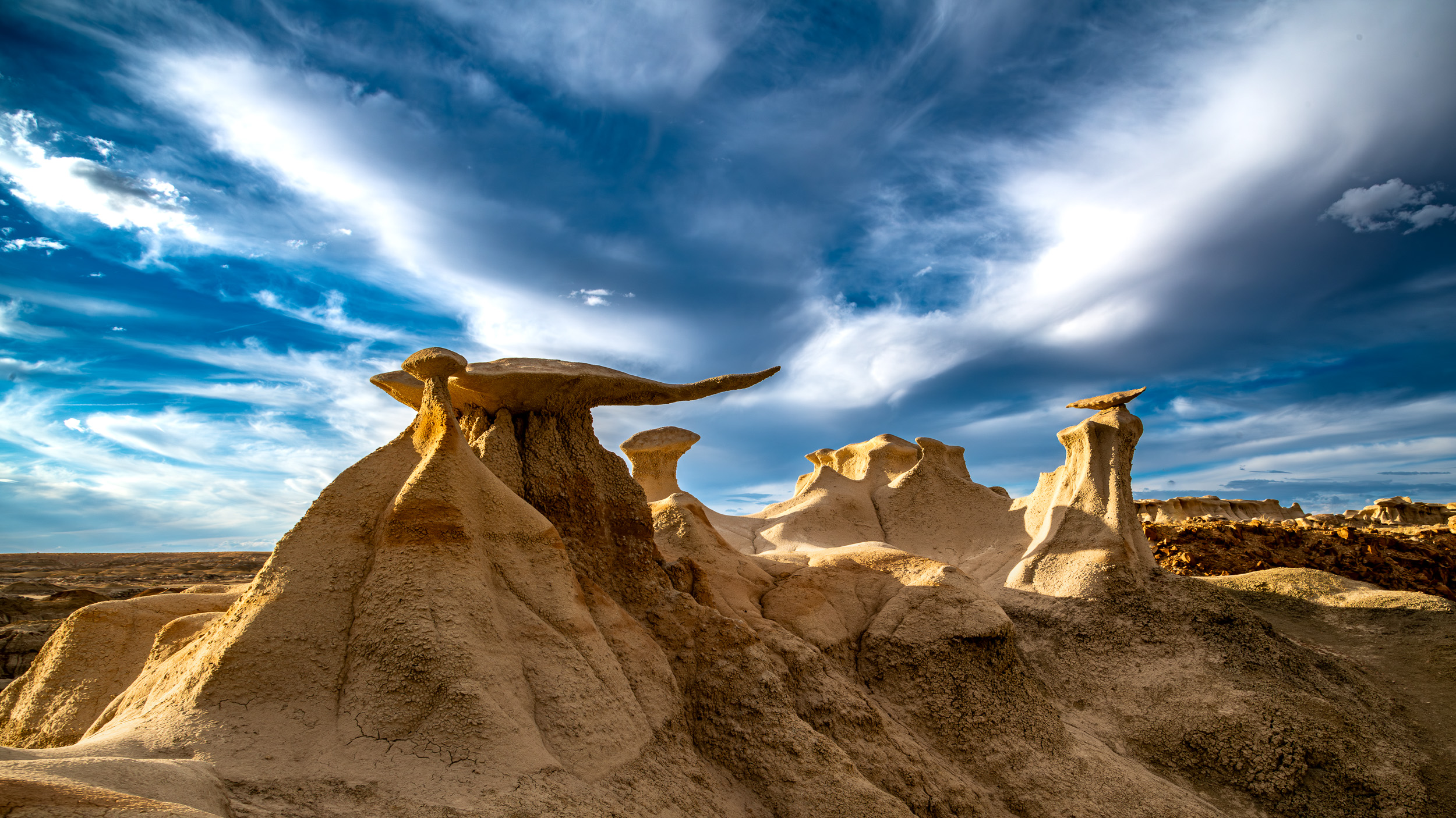 _EVY4955-Enhanced-NR