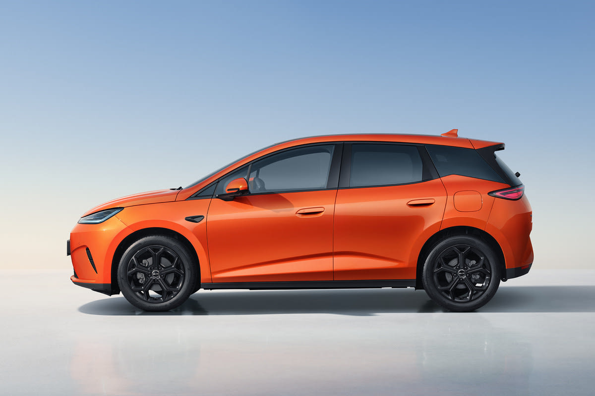 BYD Dolphin G — photo 3