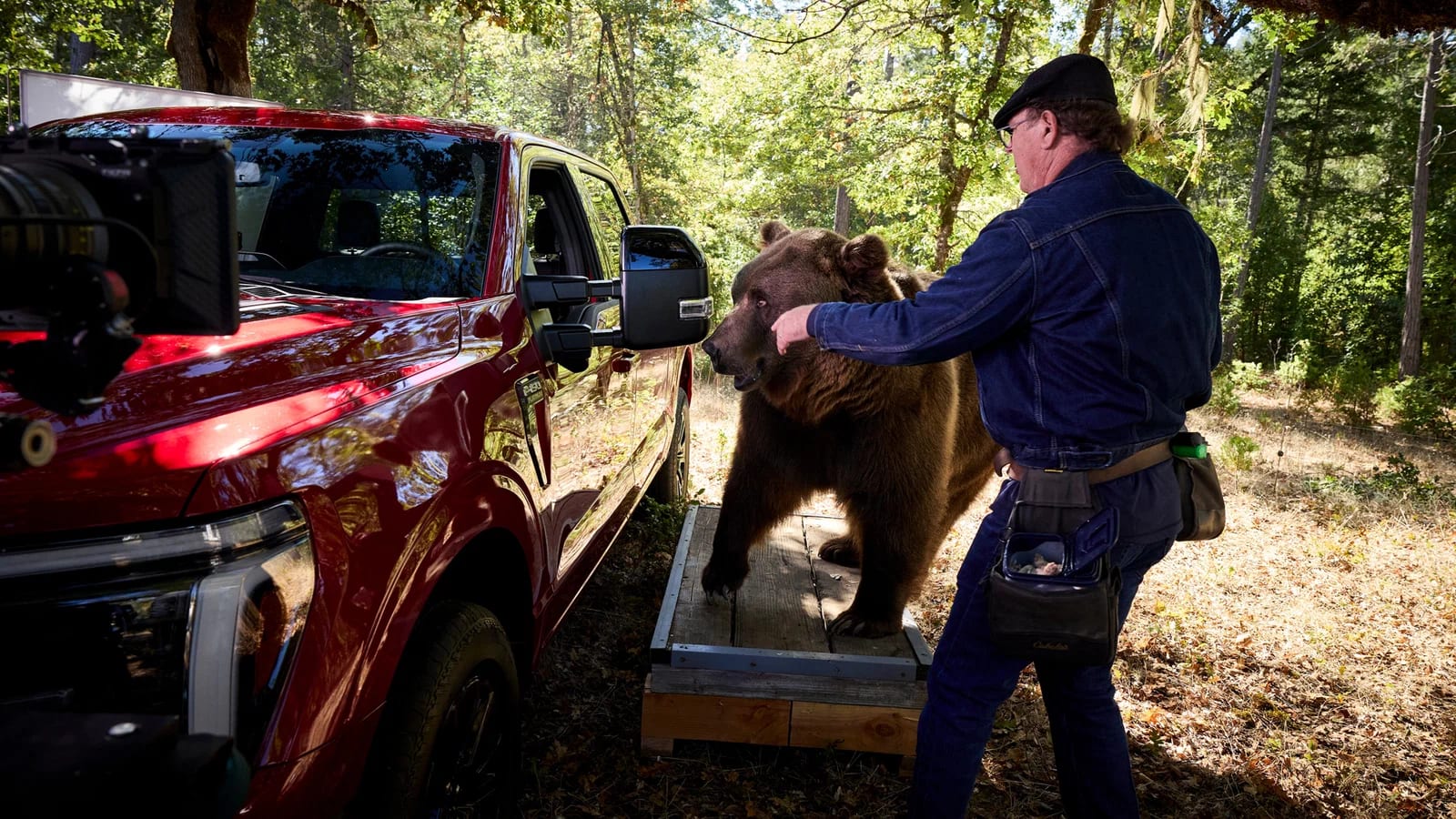 Ford hired an 800-pound bear to test the F-150's anti-theft system - photo 2