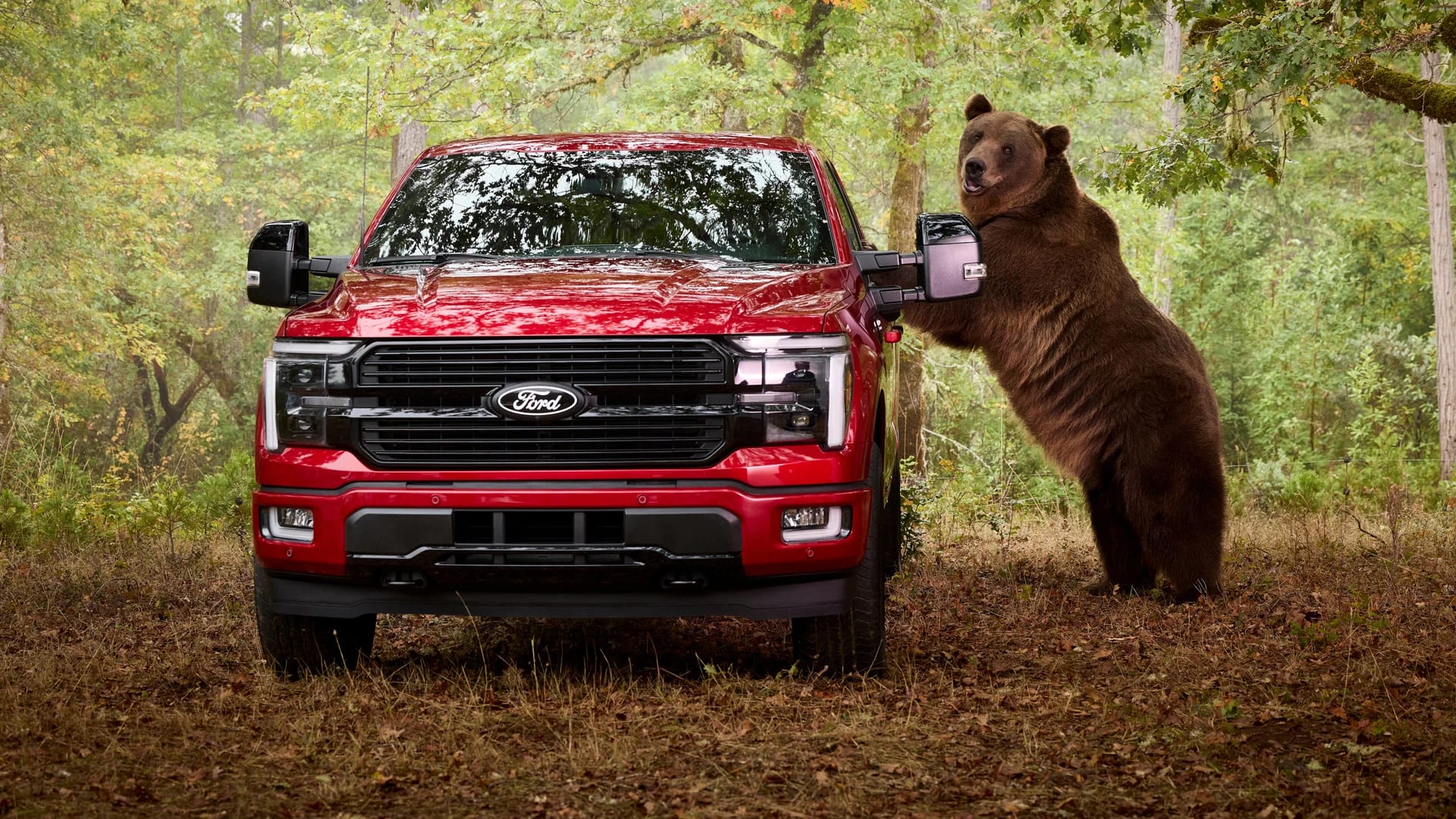 Ford hired an 800-pound bear to test the F-150's anti-theft system