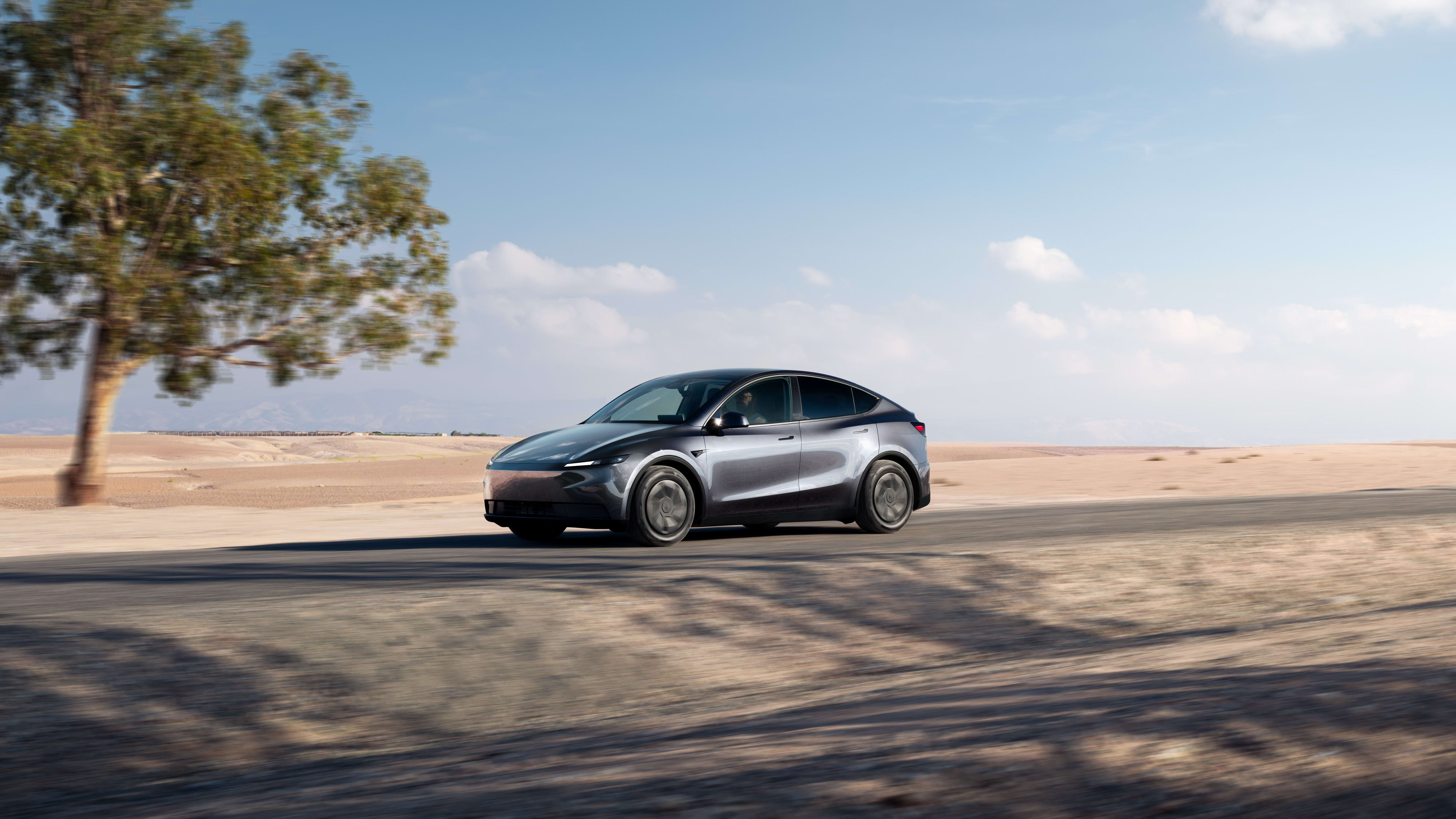 Model Y