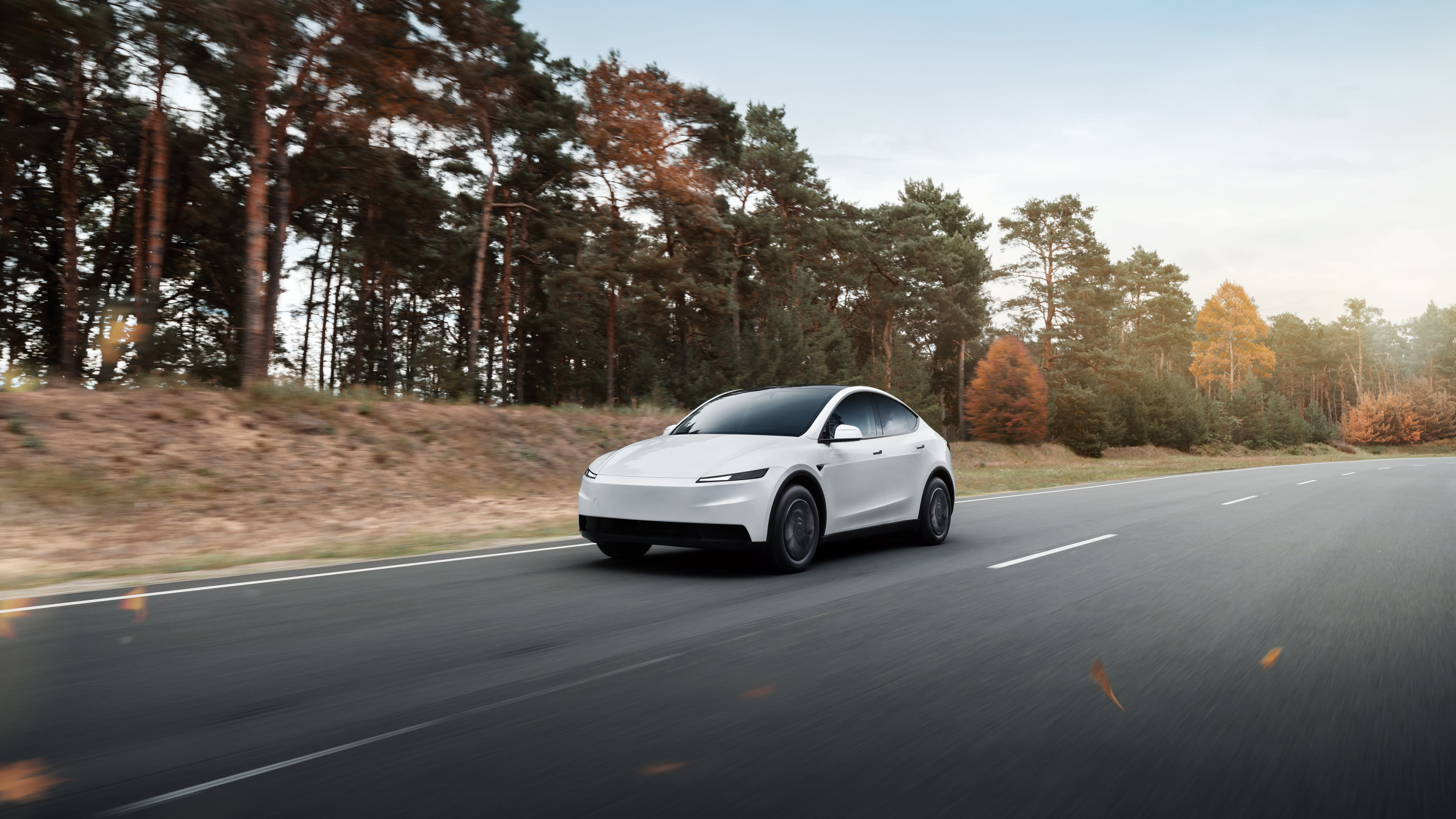 Tesla Model Y - photo 2