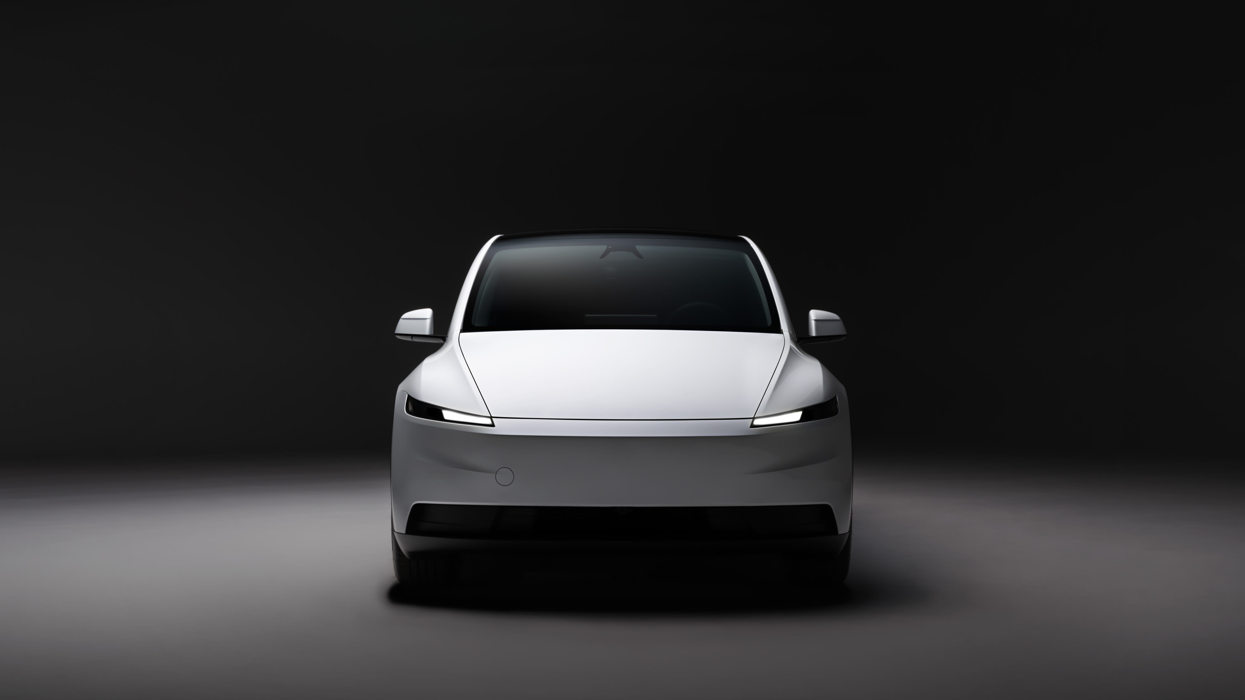 Tesla Model Y - photo 6