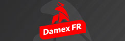Damex