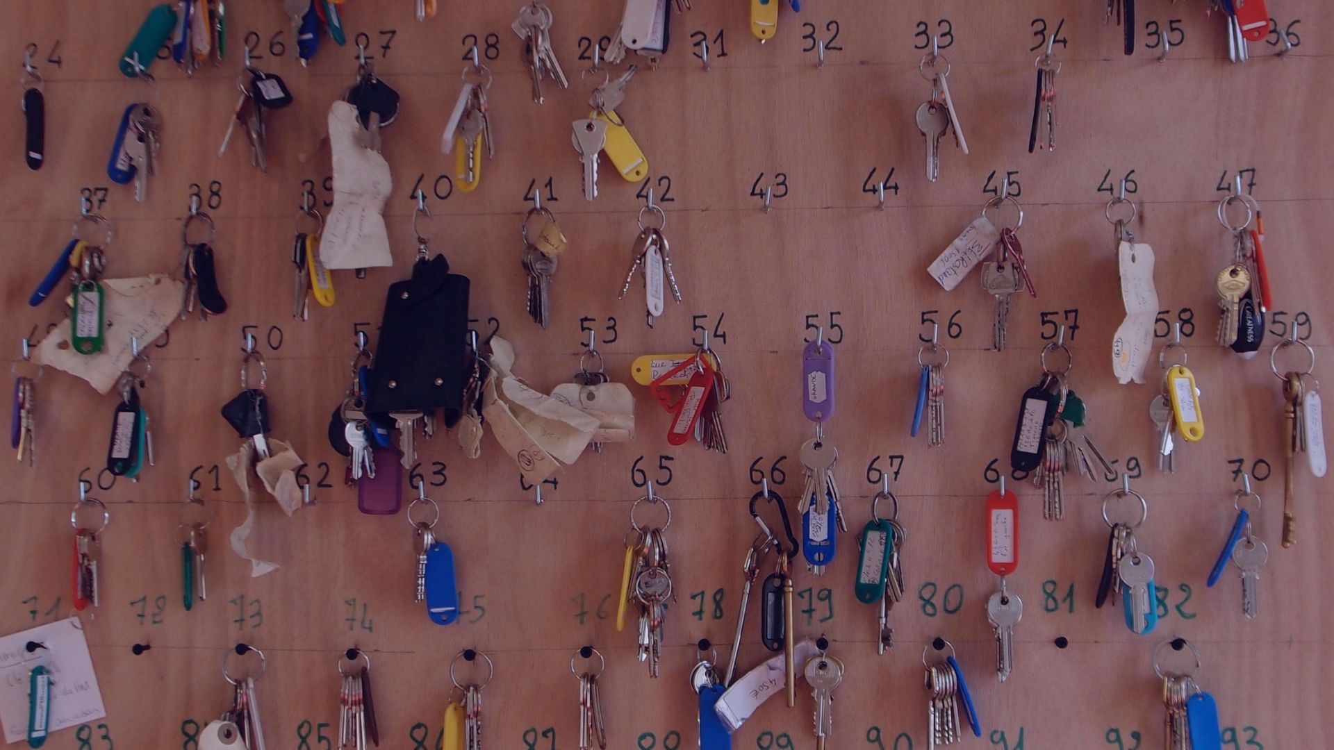 Le programme Un chez-soi d'abord