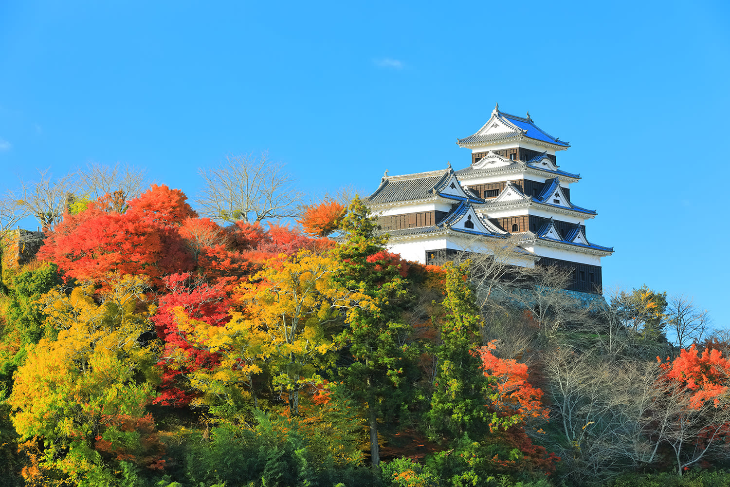 Ozu Castle | Things to Do | Visit Ehime Japan