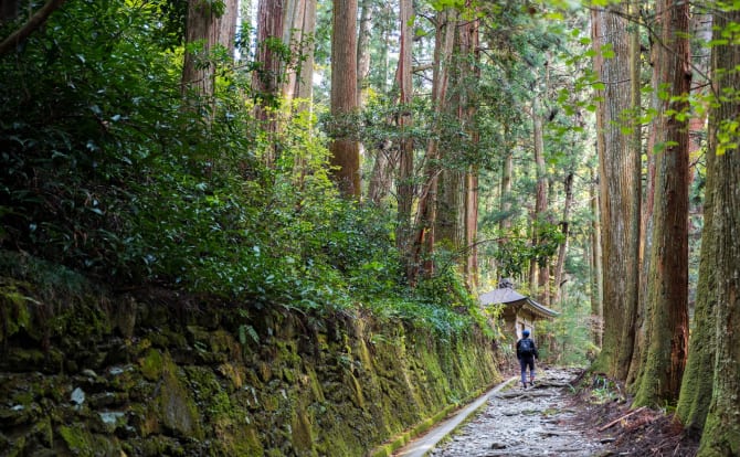 Japan Travel Inspiration 05: Experience a Walk Through Serene Landscapes & Warmth of this Ancient Pilgrimage Route