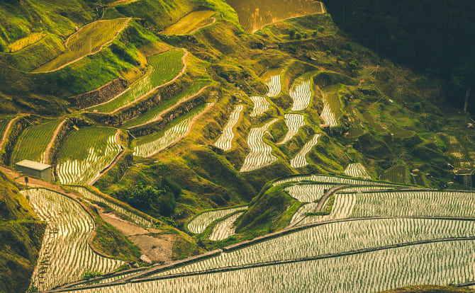 Ruộng bậc thang Izumidani