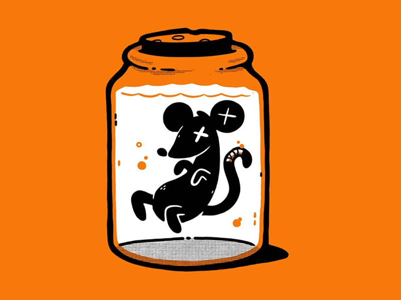 Rat in a jar