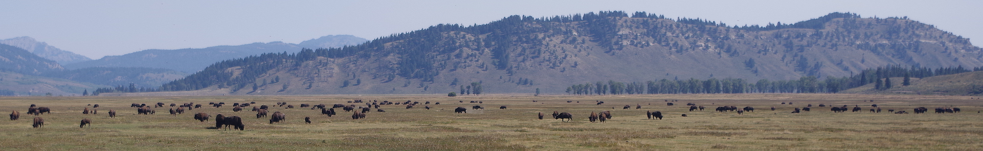 National Parks Banner