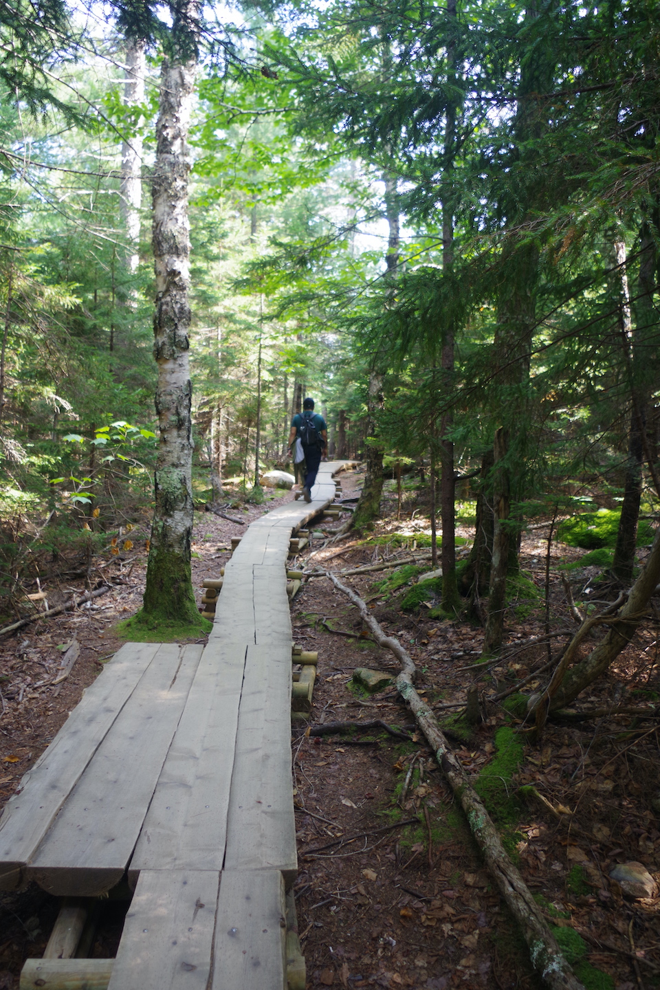 Parc national d'Acadia, sentier autour de Jordan Pond