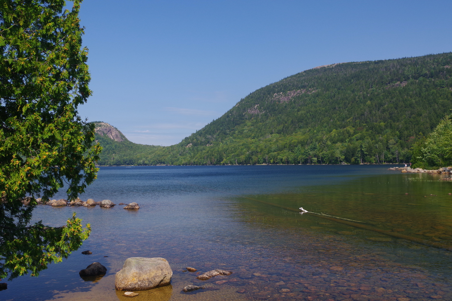 Vue de Jordan Pond dans le parc national d'Acadia
