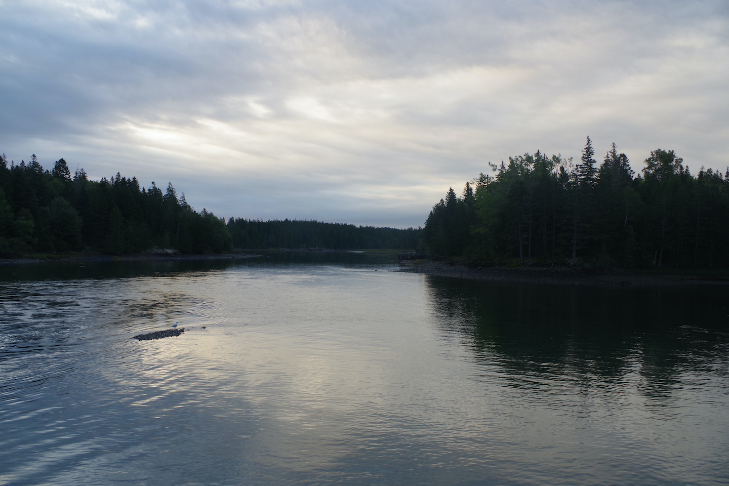 Vue de la péninsule de Schoodic dans le parc national d'Acadia
