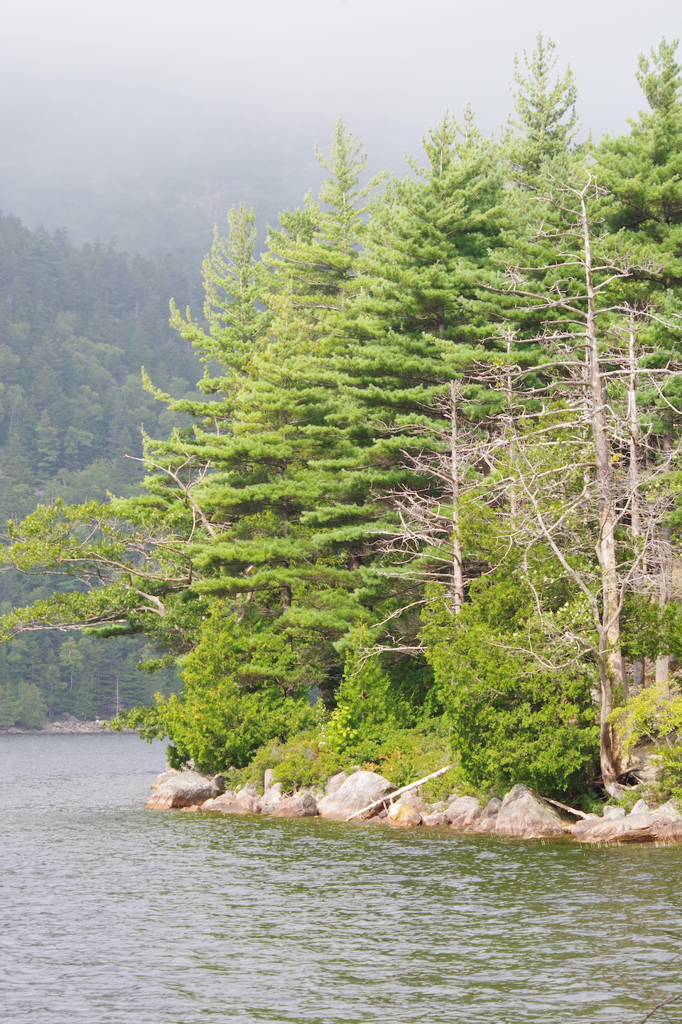 Vue de Jordan Pond dans le parc national d'Acadia