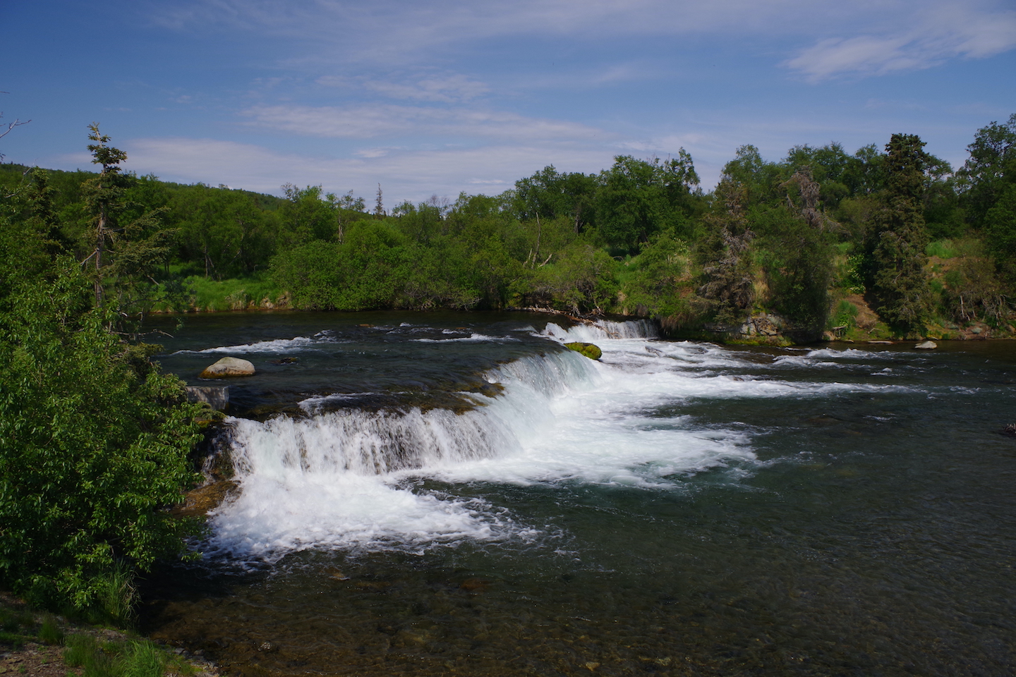 Katmai Brooks falls