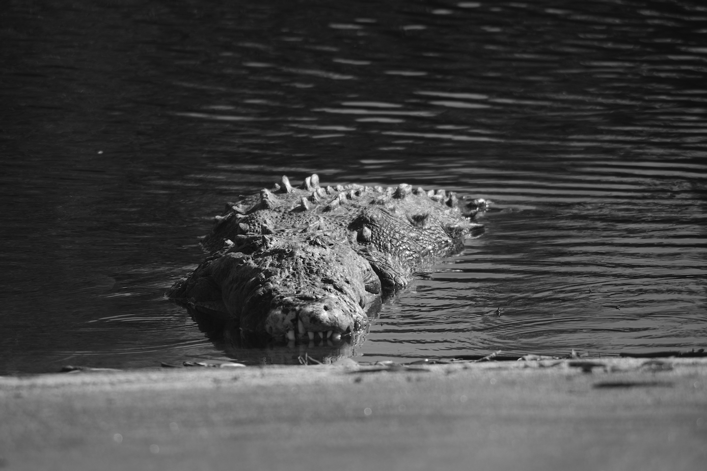 Everglades National Park