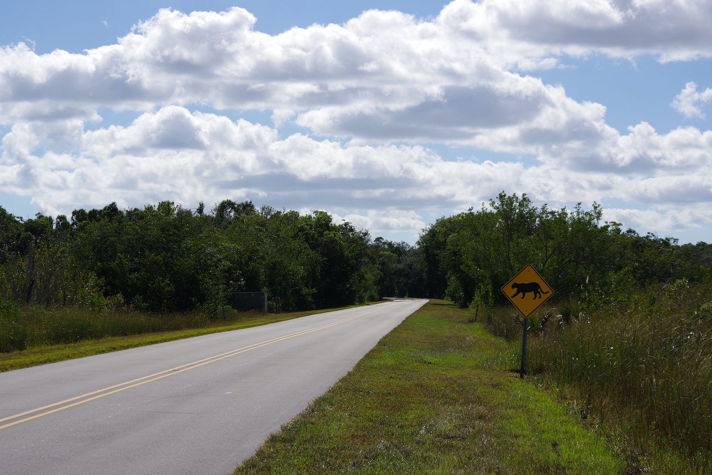 Everglades road