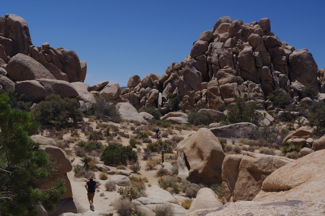 Joshua Tree 3