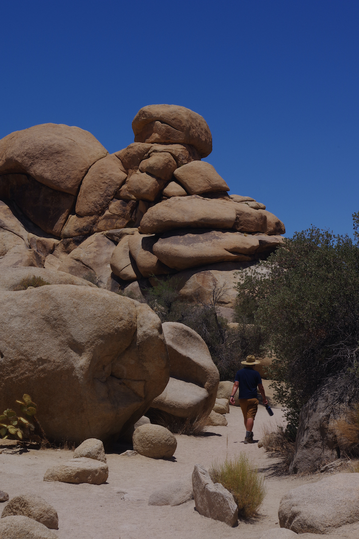 Joshua Tree 4
