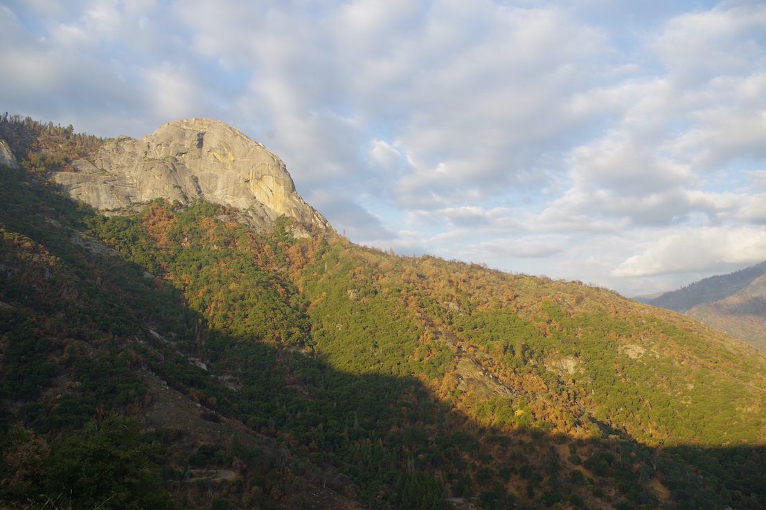 Moro Rock, Sequoia