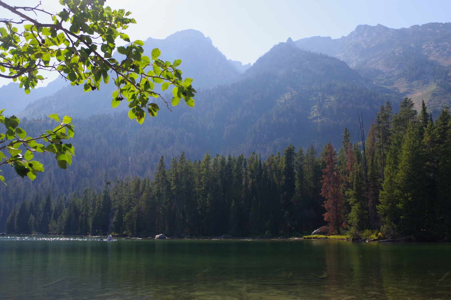 Leigh Lake, Grand Teton