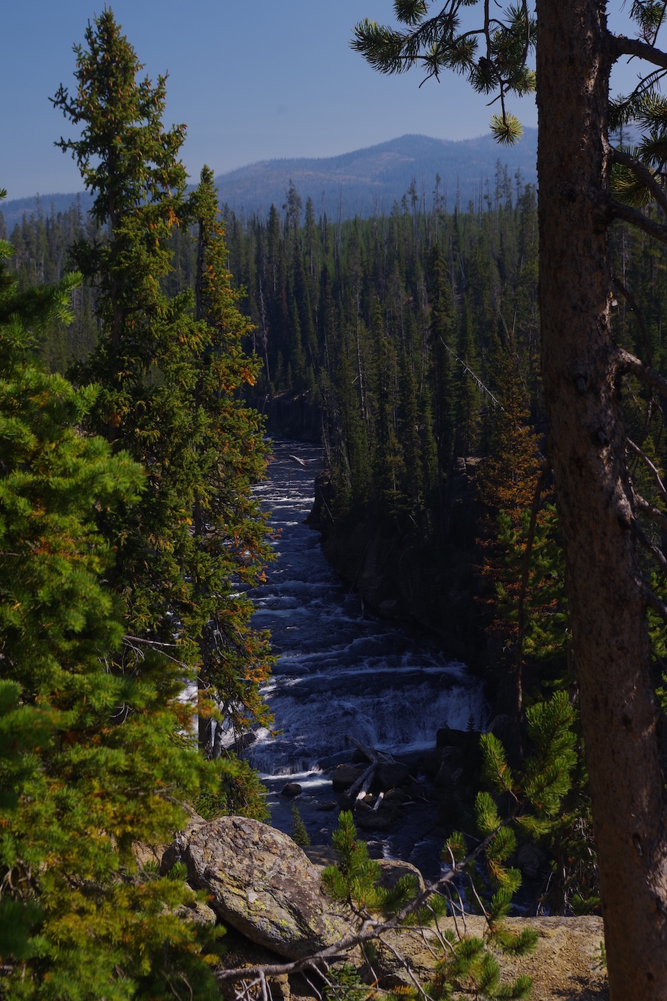 Lewis River, Yellowstone