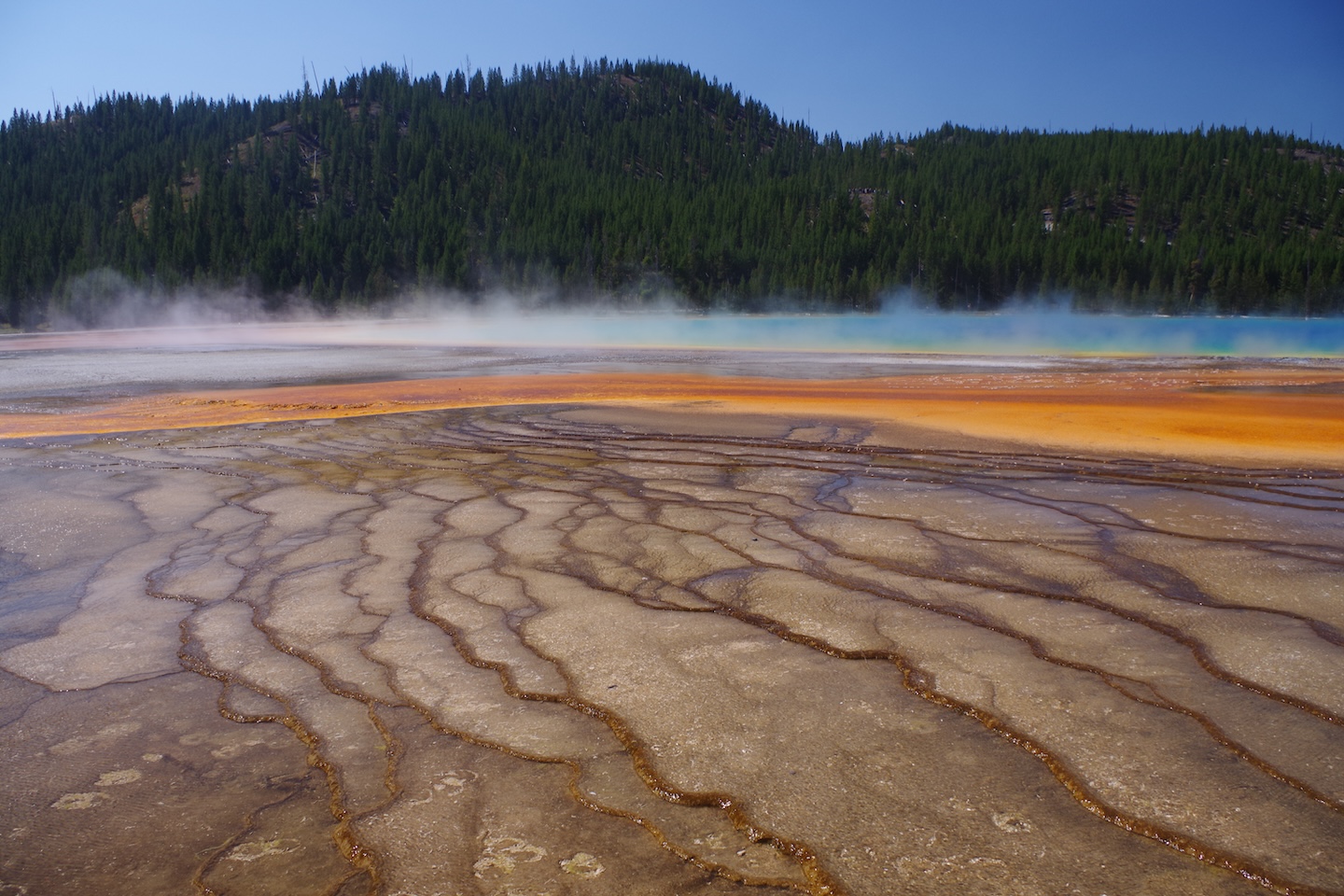 Grand Prismatic Spring, Yellowstone