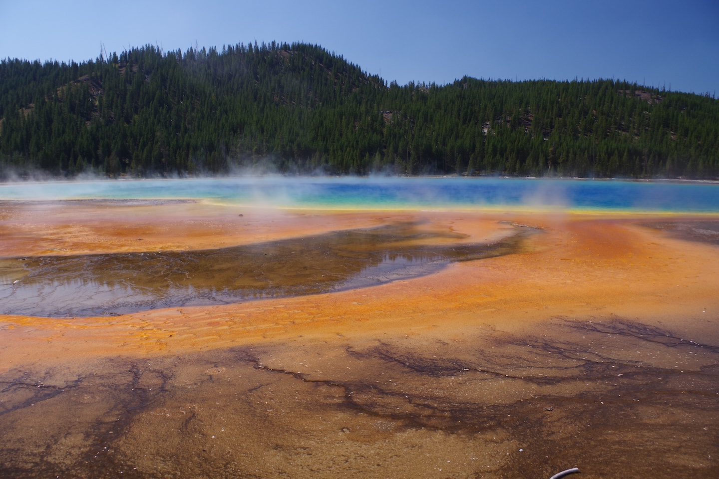 Grand Prismatic Spring, Yellowstone