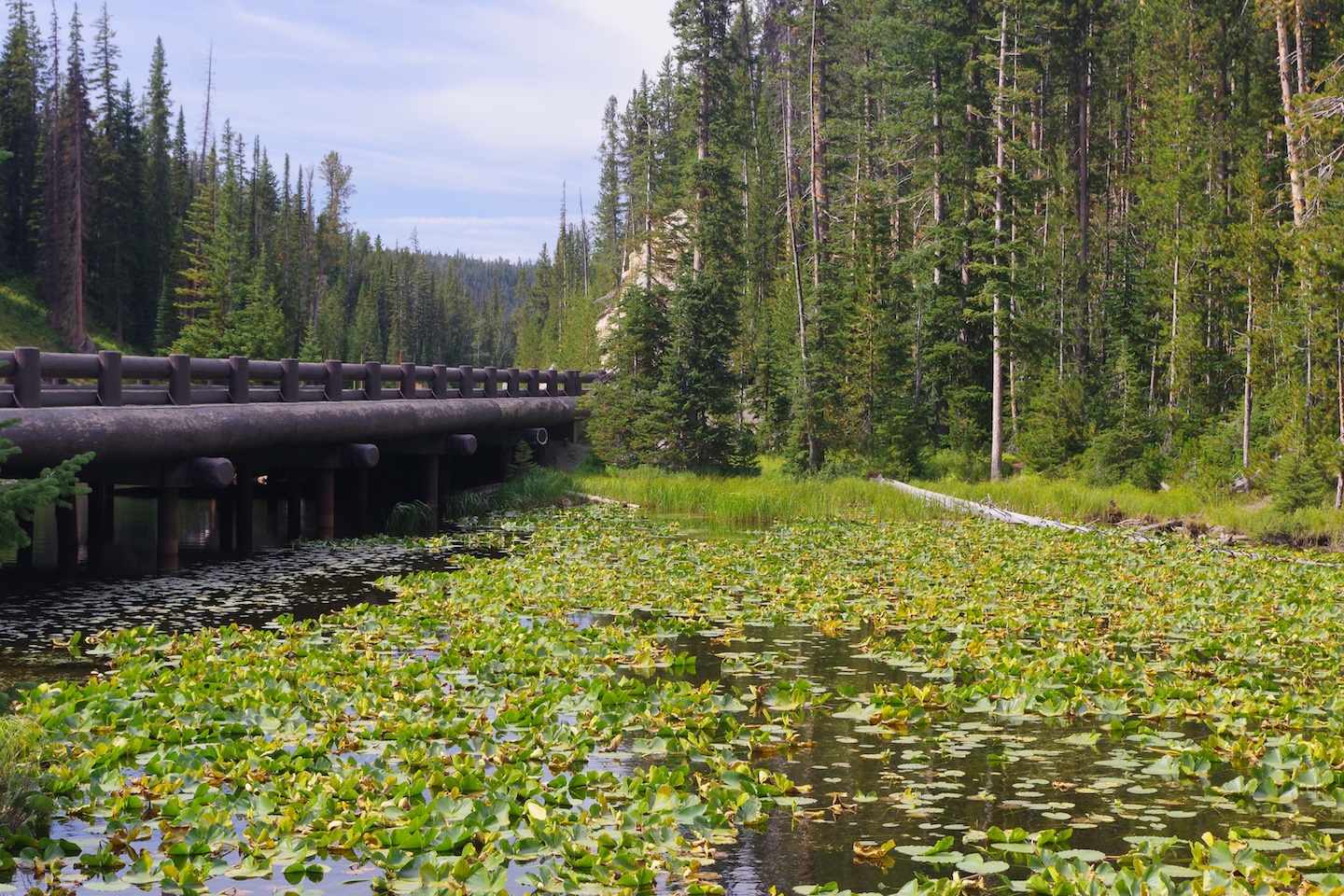 Isa Lake, Yellowstone