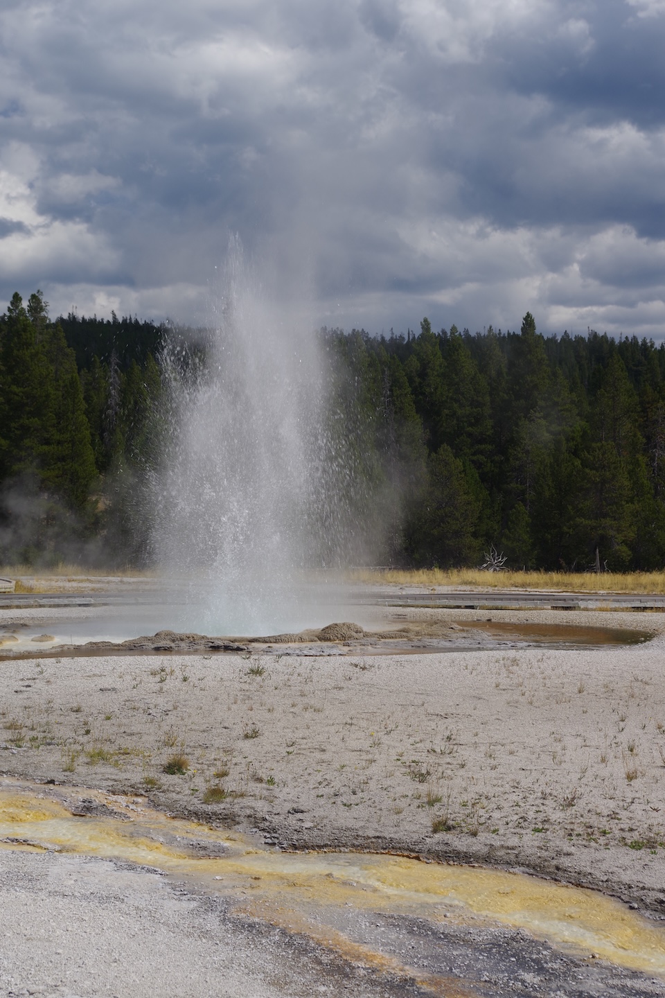 Geyser, Upper Geyser Basin, Yellowstone
