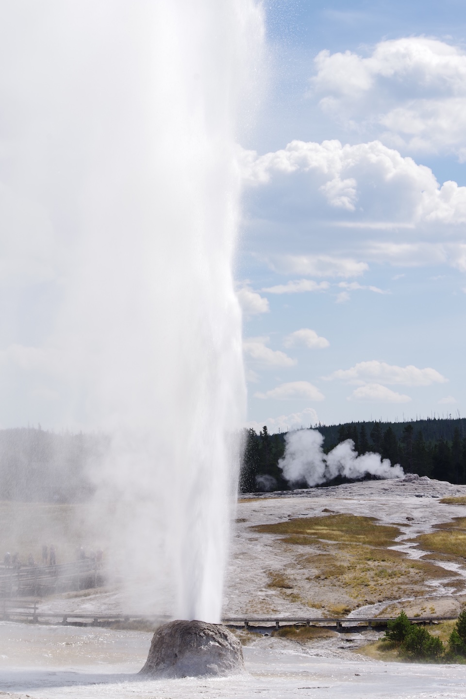 Beehive Geyser ed Old Faithful, Yellowstone