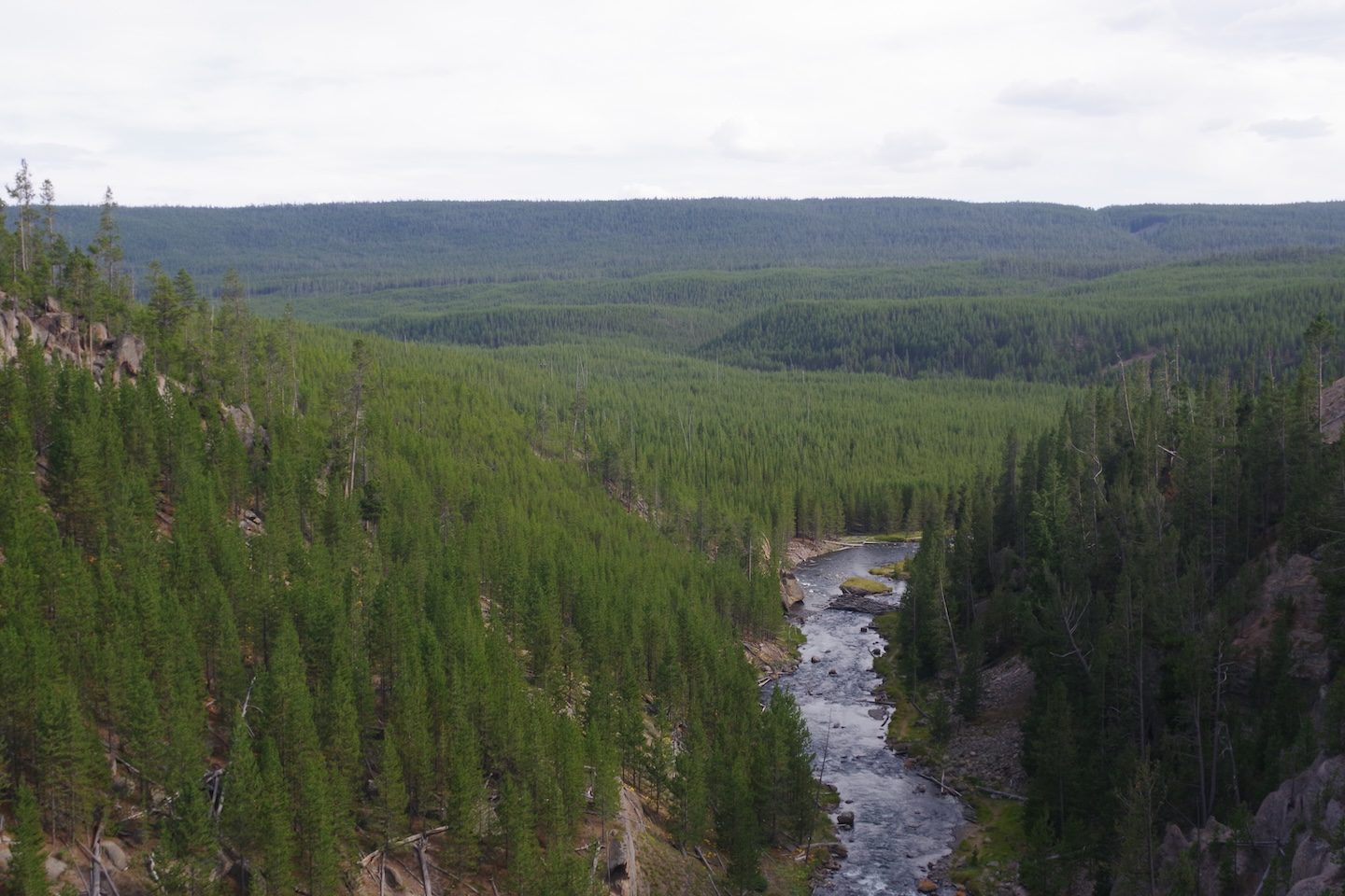 Gibbon River, Yellowstone