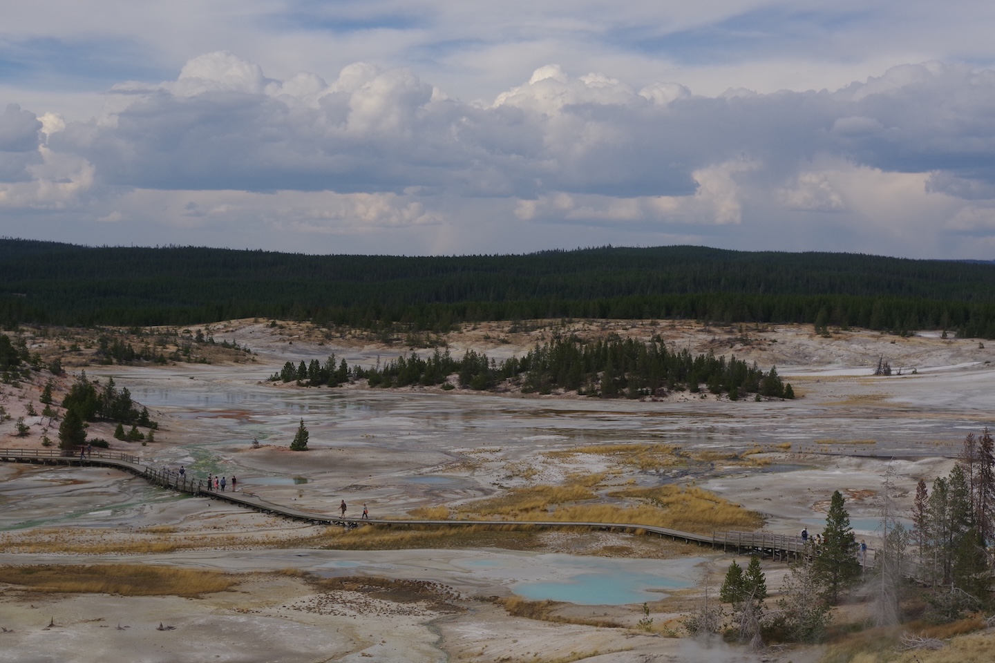 Norris Geyser Basin, Yellowstone