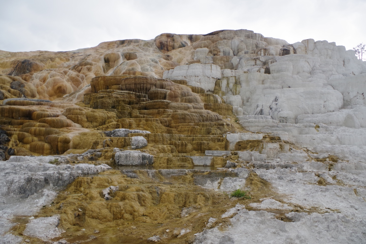 Mammoth Hot Spring, Yellowstone