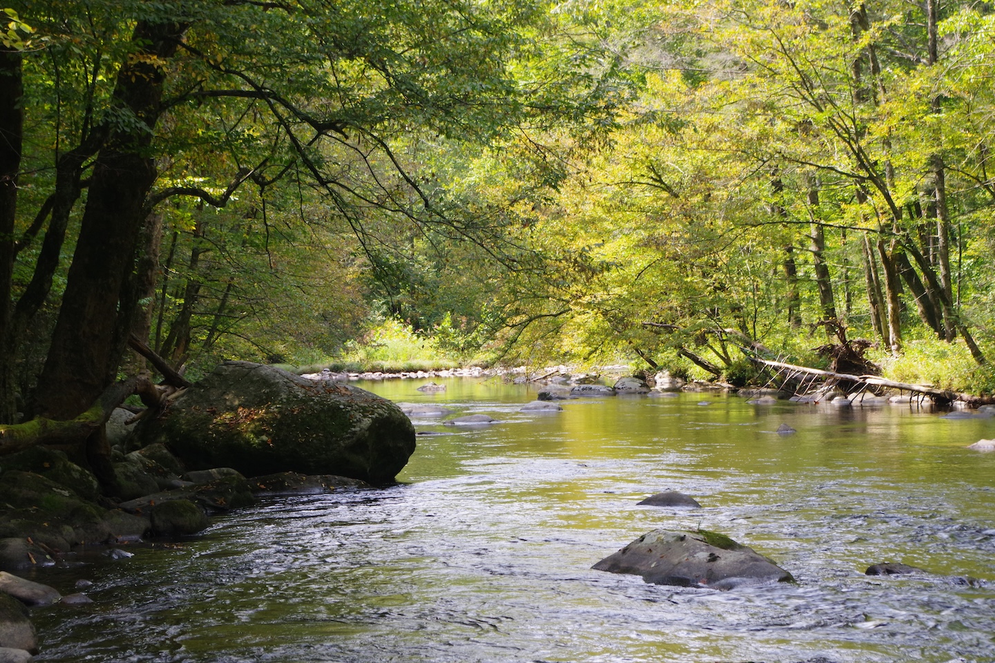 River, Great Smoky Mountains