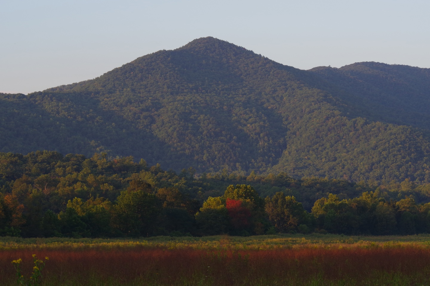 Great Smoky Mountains National Park