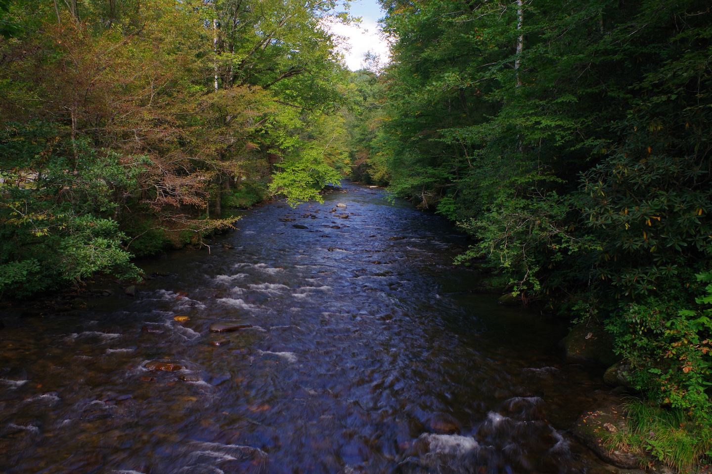 River, Great Smoky Mountains