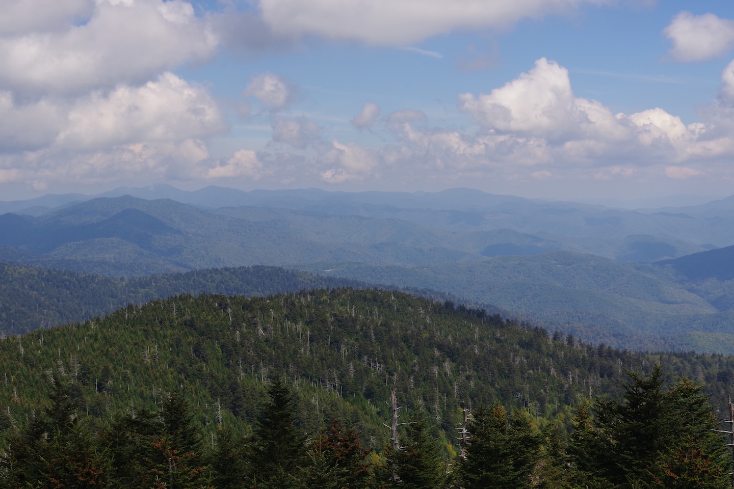 Kuwohi, Great Smoky Mountains