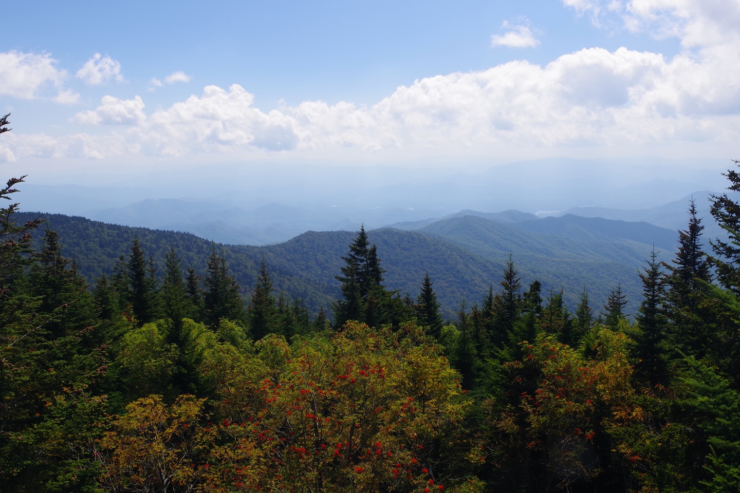 Kuwohi, Great Smoky Mountains